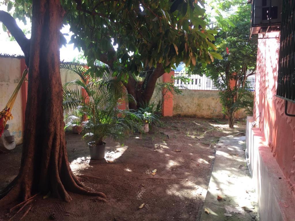 Hostel Gira Arte